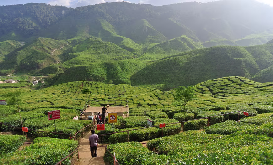 Darjeeling Retreat
