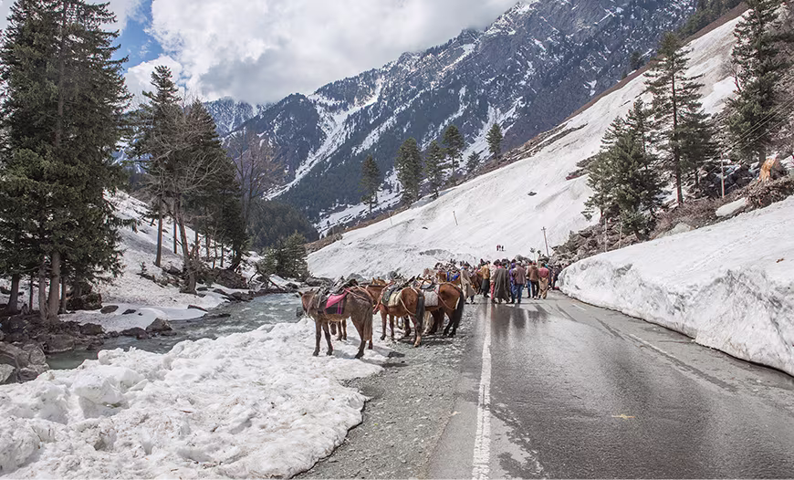 Kashmir
