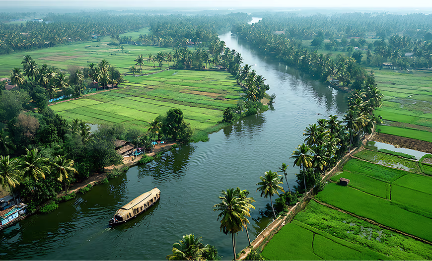 Kerela Wildlife Roam